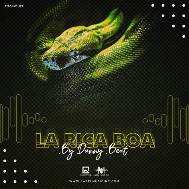 La Rica Boa Sandungueo By Danny Beat